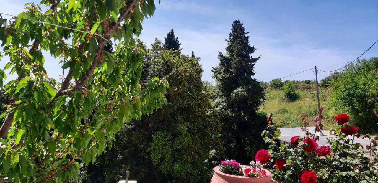 Green View Apartment Ágios Pétros Εξωτερικό φωτογραφία